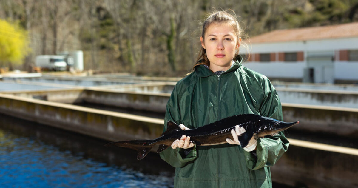 fish-farmer-moulton-college