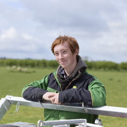 Student leaning on sheep handling unit