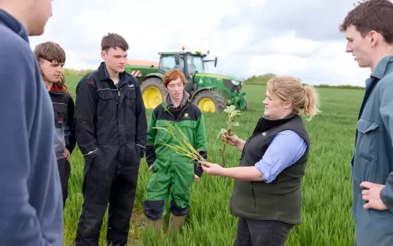 Agriculture students and tutor looking at crops with tractor in background