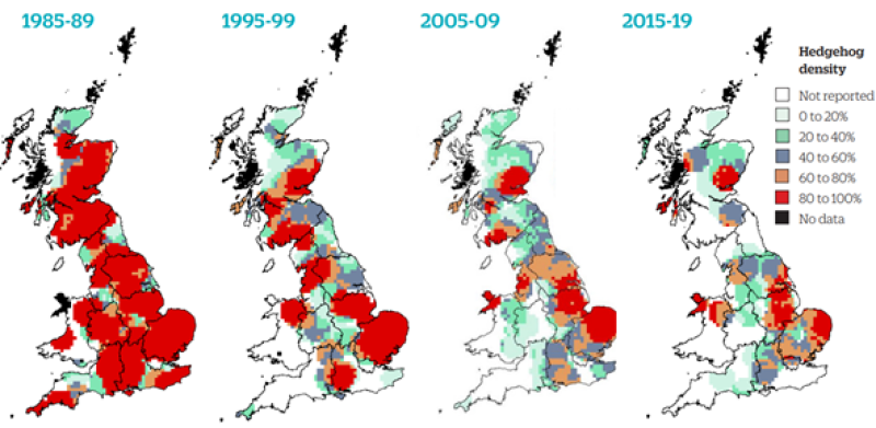 Fig 1: Relative density of hedgehogs reported in the GWCT National Gamebag Census between 1985 and 2019. Data from 619 sites were including in the mapping for the period 1985-89 , whilst 788 sites were included in the mapping for 2015-19 (Wembridge et. al