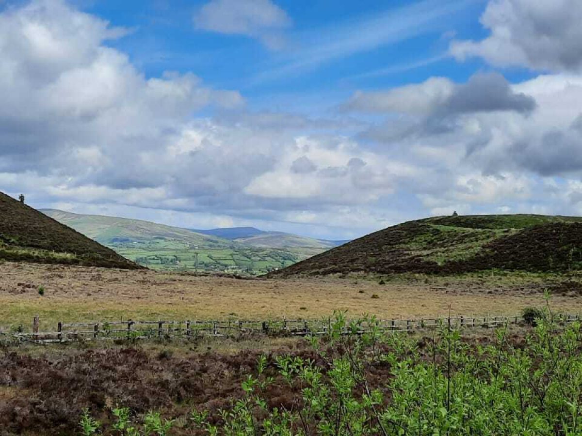 Irish Moors