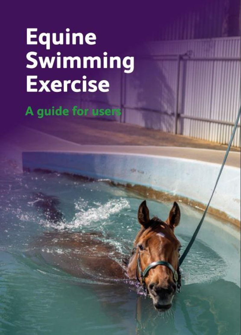 Equine Swimming Guide cover