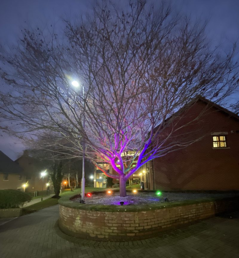 Rainbow tree with lights