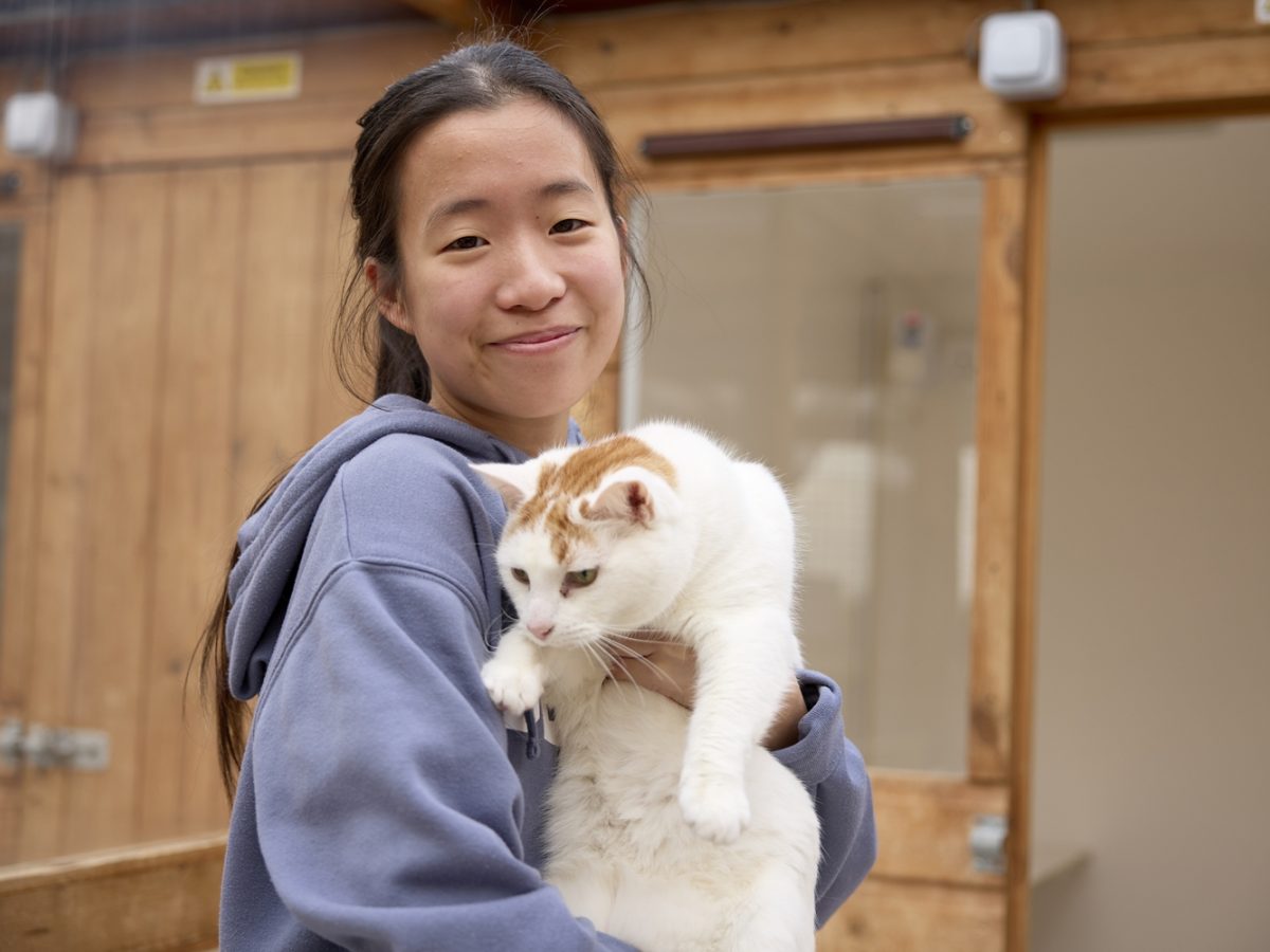 Animal Welfare student Anna with one of the cats at Cloverlea Cattery