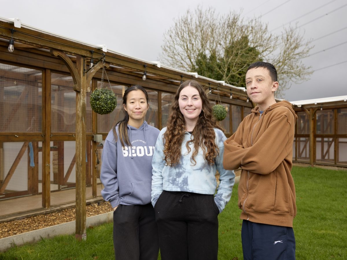 Moulton College Animal Welfare students on work experience at Cloverlea Cattery