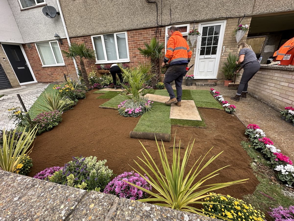 Garden makeover in progress