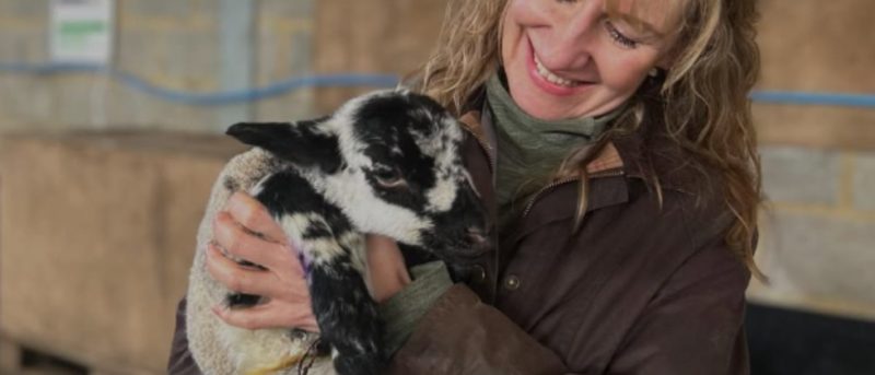 Attendee holding black and white lamb